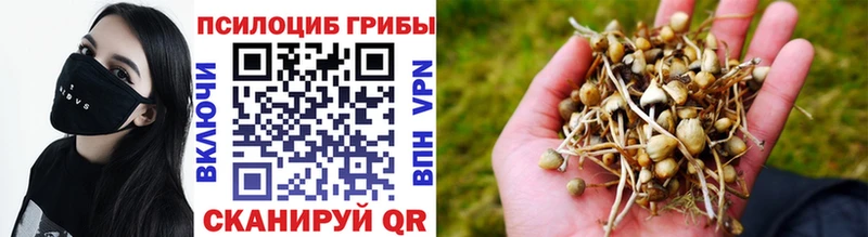 Псилоцибиновые грибы GOLDEN TEACHER  Починок 